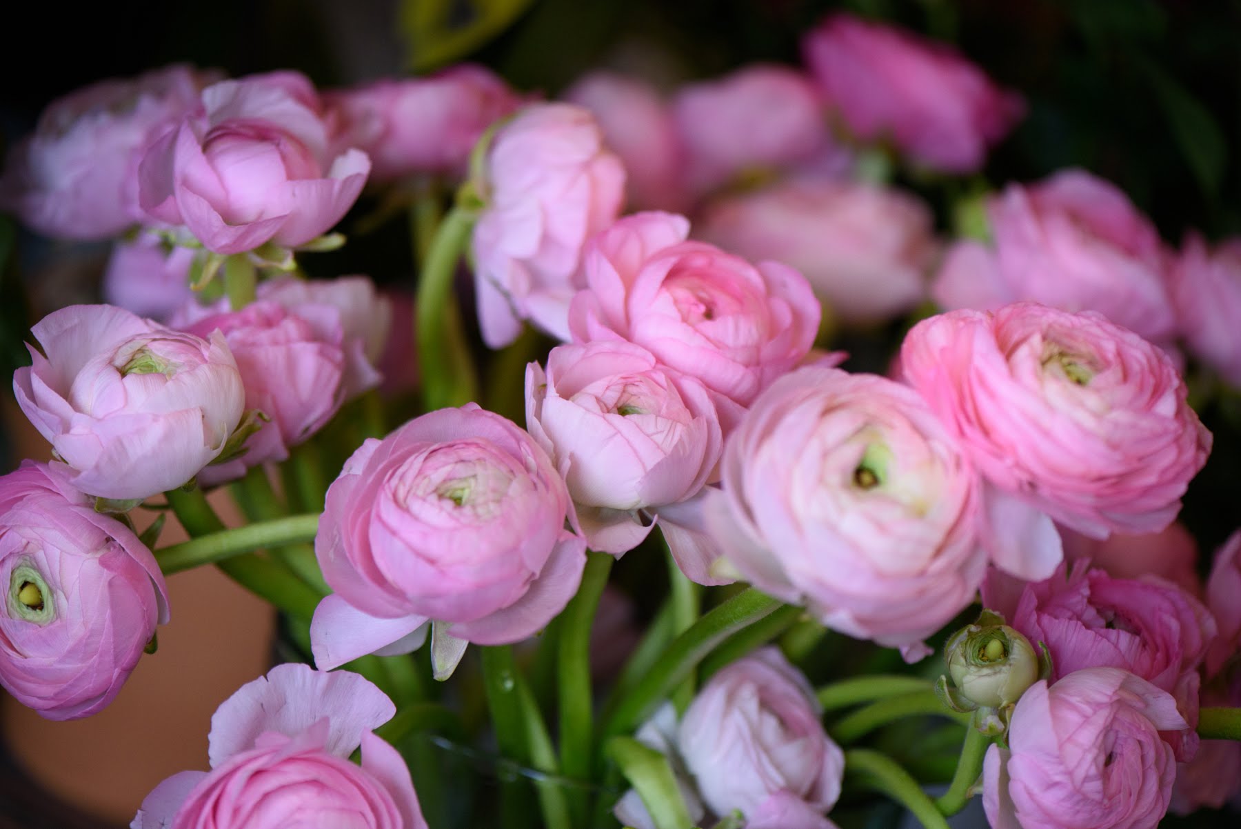 Flowers by David Anthony Wedding Party & Design About