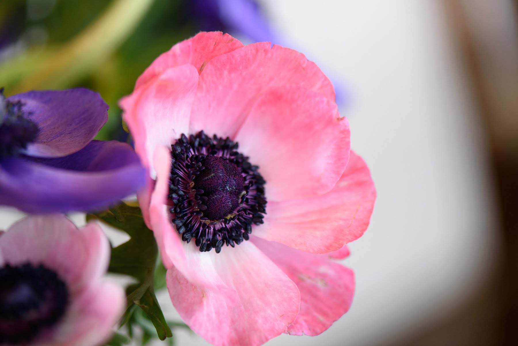 Flowers by David Anthony Wedding Party & Design About